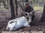 Gold Class Catalina Goat Texas 2002 357. Mag