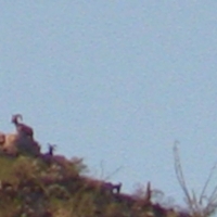 Screen Shot 2015-05-27 at 6.12.07 PM