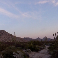 Screen Shot 2015-05-27 at 6.15.17 PM