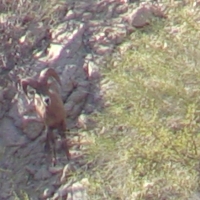 Screen Shot 2015-05-27 at 6.18.41 PM