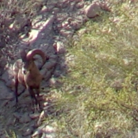 Screen Shot 2015-05-27 at 6.23.03 PM