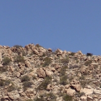 Screen Shot 2015-05-27 at 6.28.22 PM