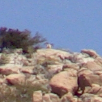 Screen Shot 2015-05-27 at 6.33.21 PM