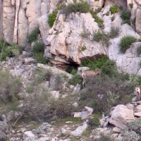 Screen Shot 2015-05-27 at 6.37.05 PM