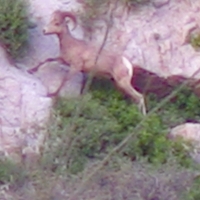 Screen Shot 2015-05-27 at 6.42.14 PM