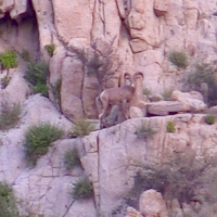 Screen Shot 2015-05-27 at 6.43.16 PM