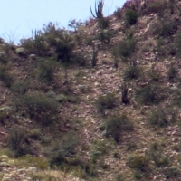 Screen Shot 2015-05-27 at 7.24.17 PM