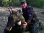 Nilgai McAllen Texas 